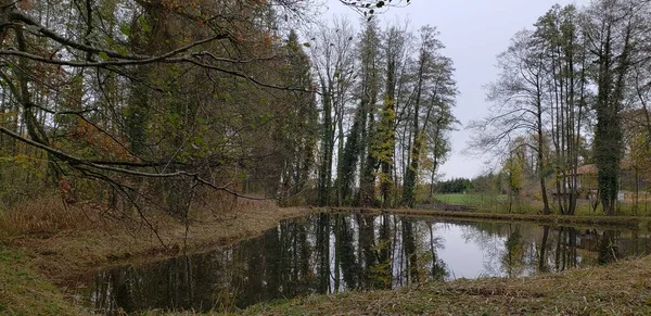 Paysage Dans Lac Chiemsee Allemagne Saison Automne — Photo