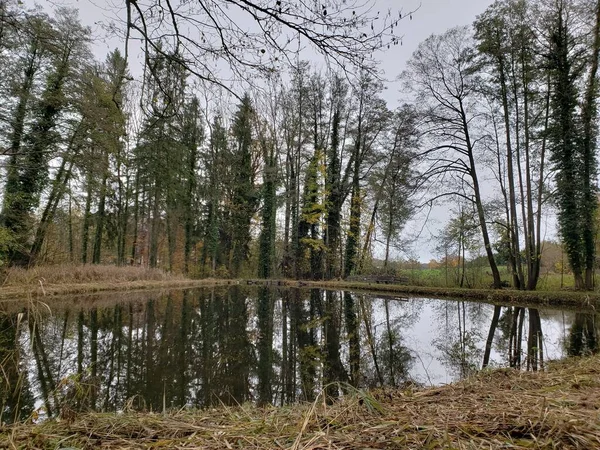 Sonbahar Mevsiminde Almanya Nın Chiemsee Gölü Ndeki Manzara — Stok fotoğraf