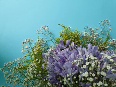 Çiçek buketinde mor agapanthus çiçeği ve açık mavi arkaplan