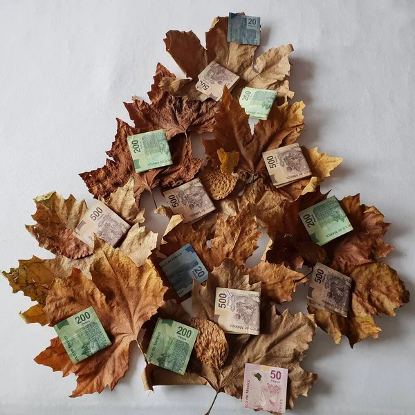 Hojas Secas Que Forman Forma Árbol Billetes Mexicanos —  Fotos de Stock