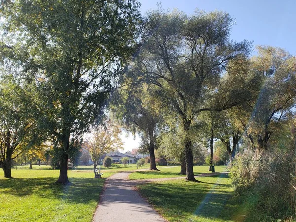 Paysage Avec Des Arbres Forestiers Tempérés Automne Allemagne — Photo