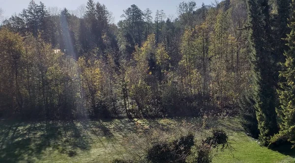 Landschap Met Gematigde Bosbomen Het Najaar Chiemsee Duitsland — Stockfoto