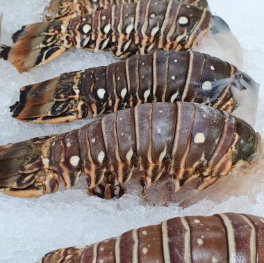 Pazarda taze ve çiğ ıstakoz.