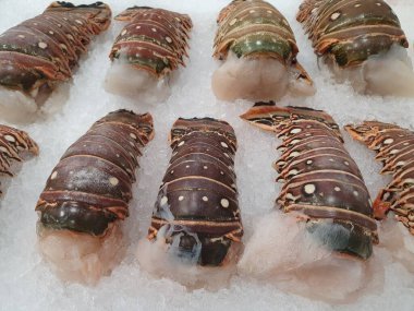 Pazarda taze ve çiğ ıstakoz.