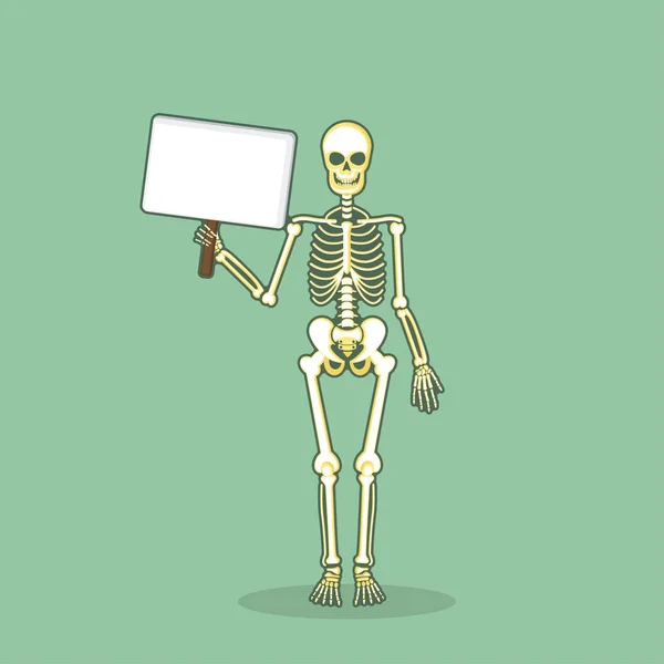 Esqueleto anatómico humano conjunto vector — Archivo Imágenes Vectoriales