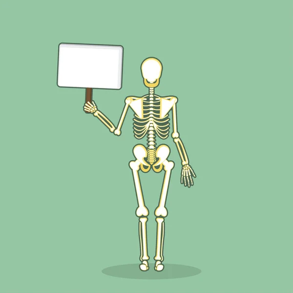 Esqueleto anatómico humano conjunto vector — Archivo Imágenes Vectoriales
