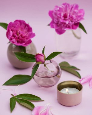 Farklı vazolarda pembe şakayıkların ve pembe arka planda mumların olduğu bir hayat. Sevdiğin için tebrik kartı..