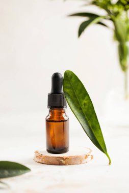 Cilt bakımı. Ağaç tezgahta yüz ve vücut için nemlendirici serum veya yağ, matarayla temas eden yeşil bir yaprak..