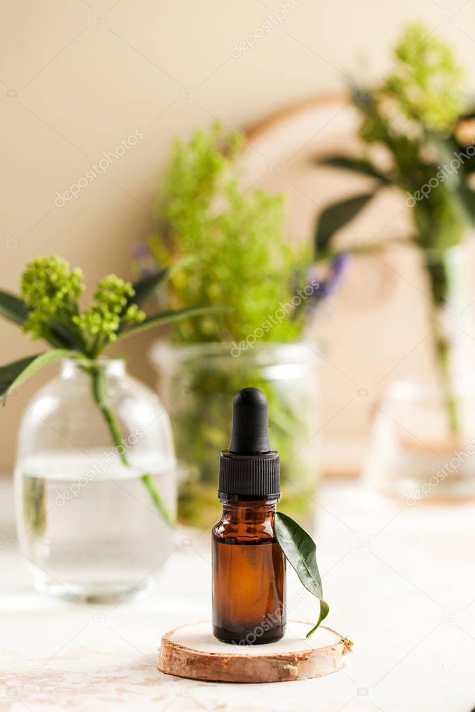 Skin care. Moisturizing serum or oil for face and body close-up, behind green plants in vases.