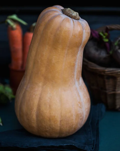 A long ripe whole pumpkin in close-up on a dark background, with vegetables in the background. — 스톡 사진