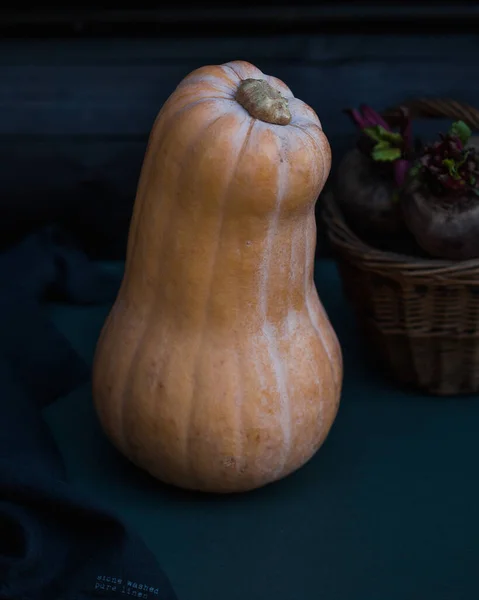 A long ripe whole pumpkin in close-up on a dark background, with beets in a wicker basket in the background. — 스톡 사진