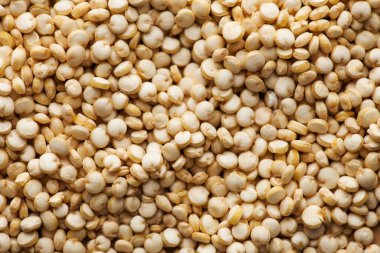  Kuru kinoa croup tam kare yakın çekim. Tarifler, bakkallar, logolar için kinoa fotoğrafı. Kinoa fotoğraf duvar kağıdı.