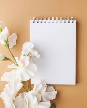  Beyaz çiçekli mesajınız için boş not defteri. Yukarıdan bak. Minimalizm kavramı.