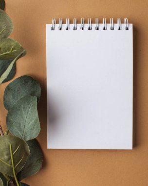  Yeşil dalı olan mesajın için boş bir not defteri. Düz yatıyordu. Minimalizm kavramı.