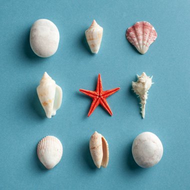 Mavi arka planda deniz yıldızı ve deniz kabuğu olan düz bir döşeme. Seyahat konsepti, deniz kenarında tatil. Boşluğu kopyala