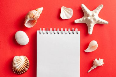  Tropikal arka plan. Kırmızı zemin üzerinde deniz yıldızı ve deniz kabuğu olan düz bir döşeme. Seyahat konsepti, deniz kenarında tatil. Boşluğu kopyala