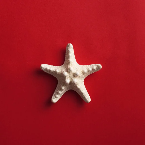 Tropical background. Flatlay with starfish on a red background. The concept of travel, vacation at sea. Copy space