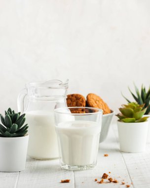 Bir bardak süt, bir sürahi süt, arka planda kurabiyeler. Süt ürünleri konsepti, süt kullanımı, tarım ürünleri, süt günü. 