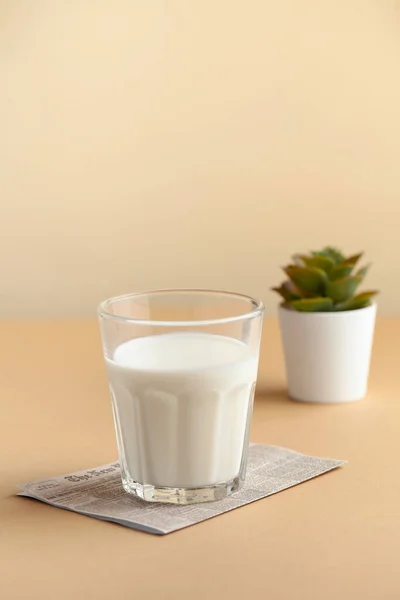 Стакан Молока Зеленое Растение Горшке Коричневом Фоне Концепция Фермерских Молочных — стоковое фото