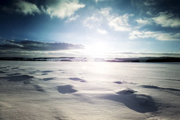 Paisaje de invierno. Campo cubierto de nieve y sol . —  Fotos de Stock
