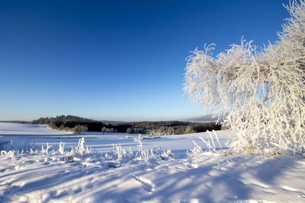 Vinter bakgrund. Frusna landskap med snö på fältet. — Stockfoto