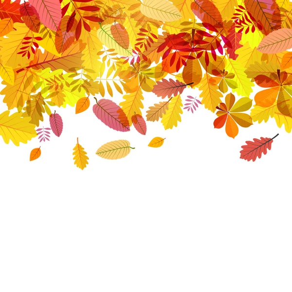 Autumn Falling Leaves on White Background Vector — Stock Vector