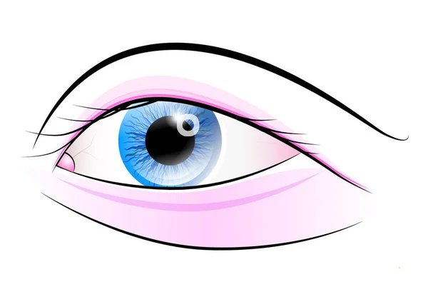 Olho de mulher. Olho de vetor azul e rosa isolado em fundo branco, ilustração . —  Vetores de Stock