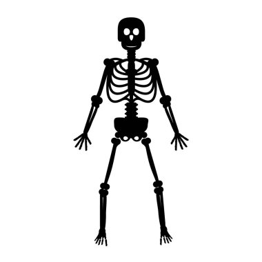 İskelet. Beyaz arka plan vektör üzerinde siyah insan kemikleri.
