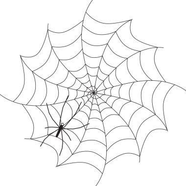 Örümcek Web üzerinde. Beyaz arka plan üzerinde siyah hayvan siluet izole vektör.