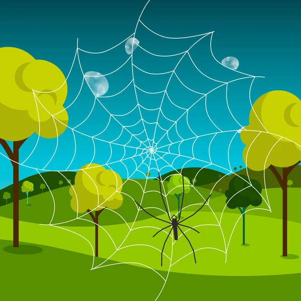 Spinnenweb met dauw en weide op achtergrond — Stockvector