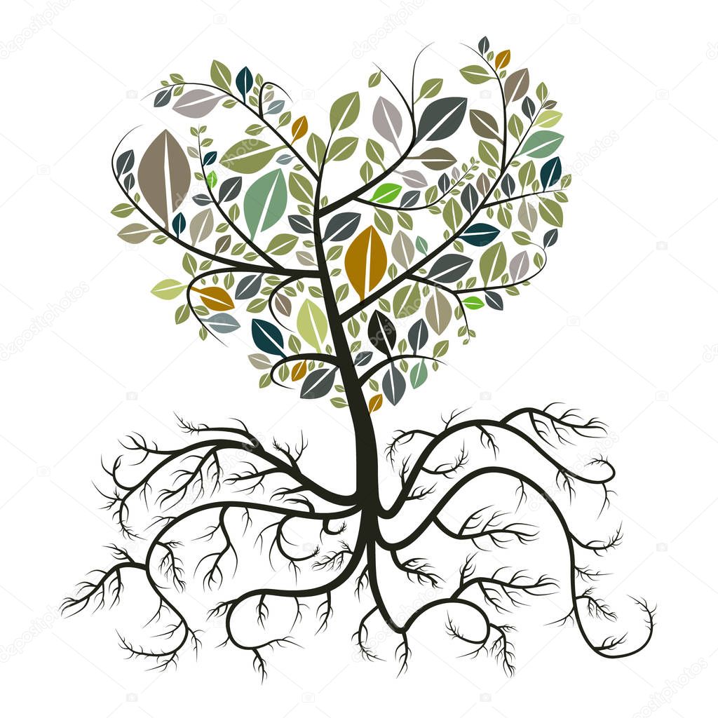 Heart Shaped Tree with Roots Isolated on White Background