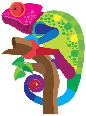 Bukalemun bir dalda otururken, cilt rengini değiştirme