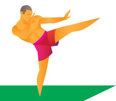 Ayakta kung fu fighter