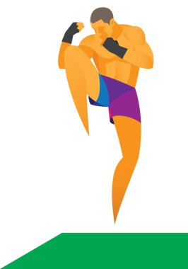 karışık dövüş sanatları savaşçı