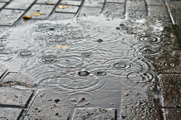 Followed by rain  in autumn puddle. — Stock Photo, Image