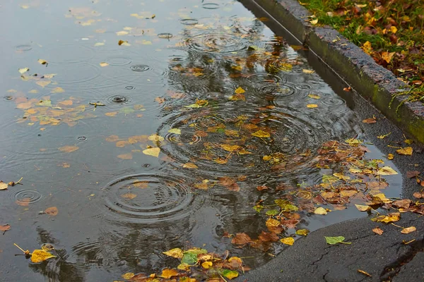 Followed by rain   in autumn puddle. — Stock Photo, Image