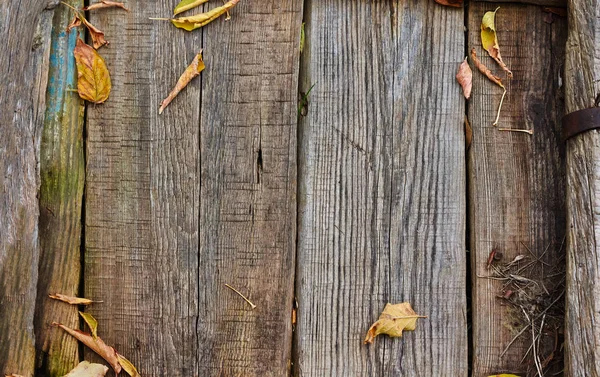 Old wooden fence. — Stock Photo, Image