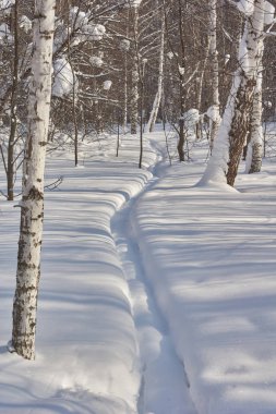snowy orman glade piste Kayak.