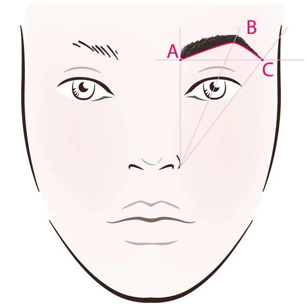 眉の描き方は。ベクトル トレンディな化粧眉方式. — ストックベクタ