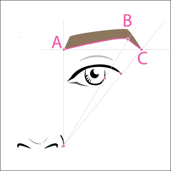 眉の描き方は。ベクトル トレンディな化粧眉方式. — ストックベクタ