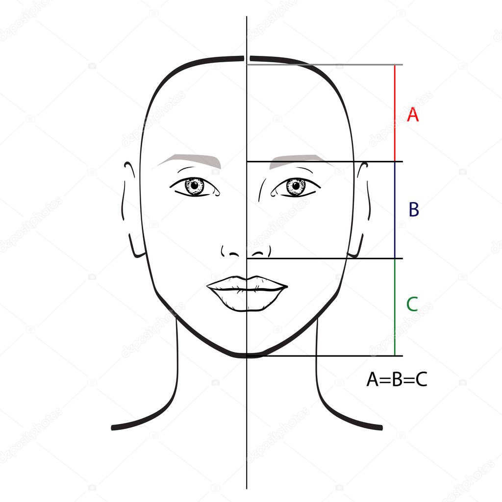Perfect face proportions template. Vector illustration.