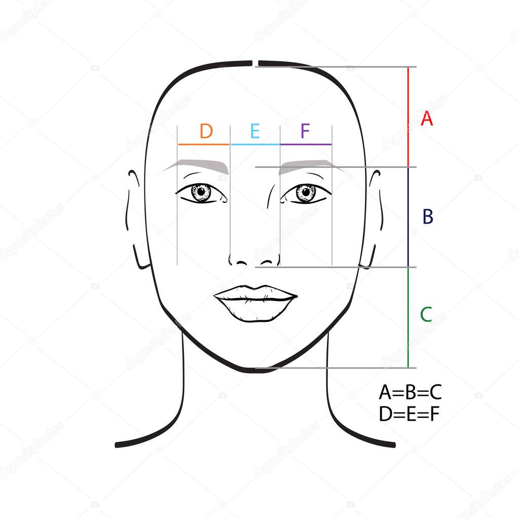 Perfect face proportions template. Vector illustration.
