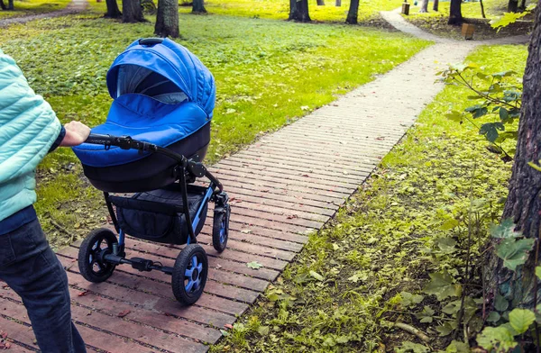 Carrinho Passeio Passeia Parque Contra Fundo Árvores Verdes Foto Tonificada — Fotografia de Stock