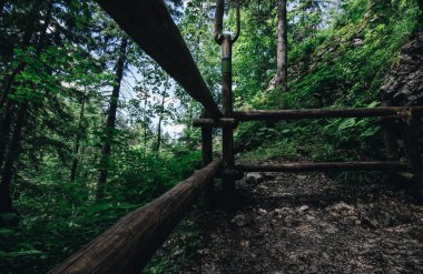 Forrest ahşap çit çevresinde