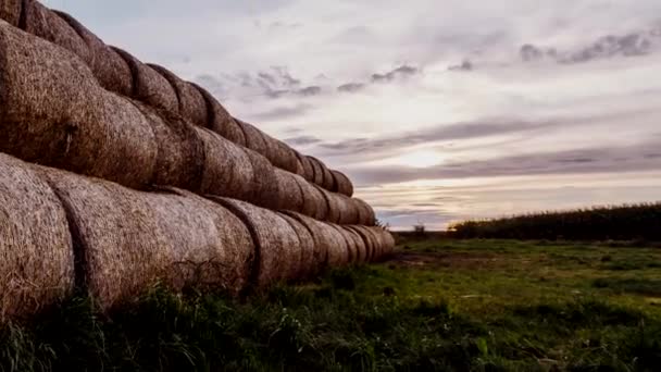 Great Stacks Hay Captured Sunset — Stock Video