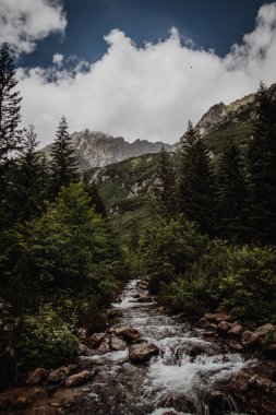 Ağaçlar ve dağlar arka planda üst kısımları arasında hızlı bir dere