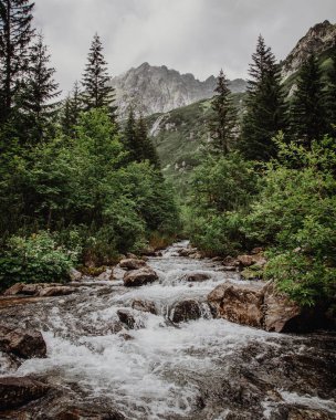 Ağaçlar ve dağlar arka planda üst kısımları arasında hızlı bir dere