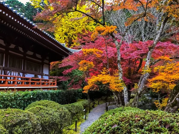 Cores Vibrantes Outono Arquitetura Tradicional Kyoto Japão — Fotografia de Stock