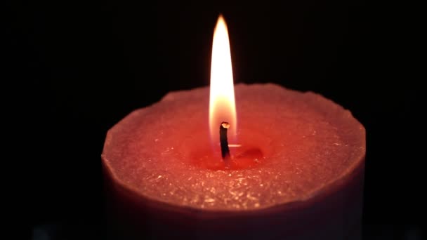 Close Pink Candle Burning Black Background — Stock Video
