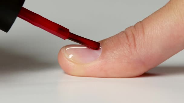 Manikyr gör en beläggning av ett rött nagellack till kund. Närbild — Stockvideo